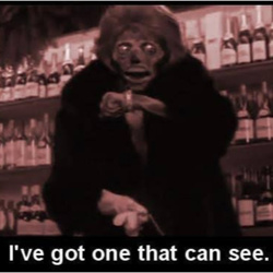 Radio Wolna Amerykanka