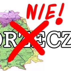 Niedorzecznik