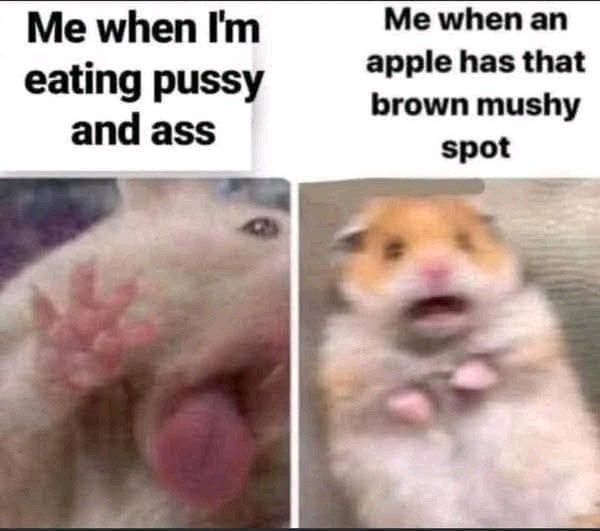 8bec8c0b-1f4a-4a61-bc68-2e4f7e8062a7