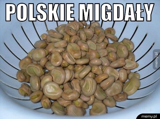 69629efa-e8f9-4675-949b-dde47b25d82a