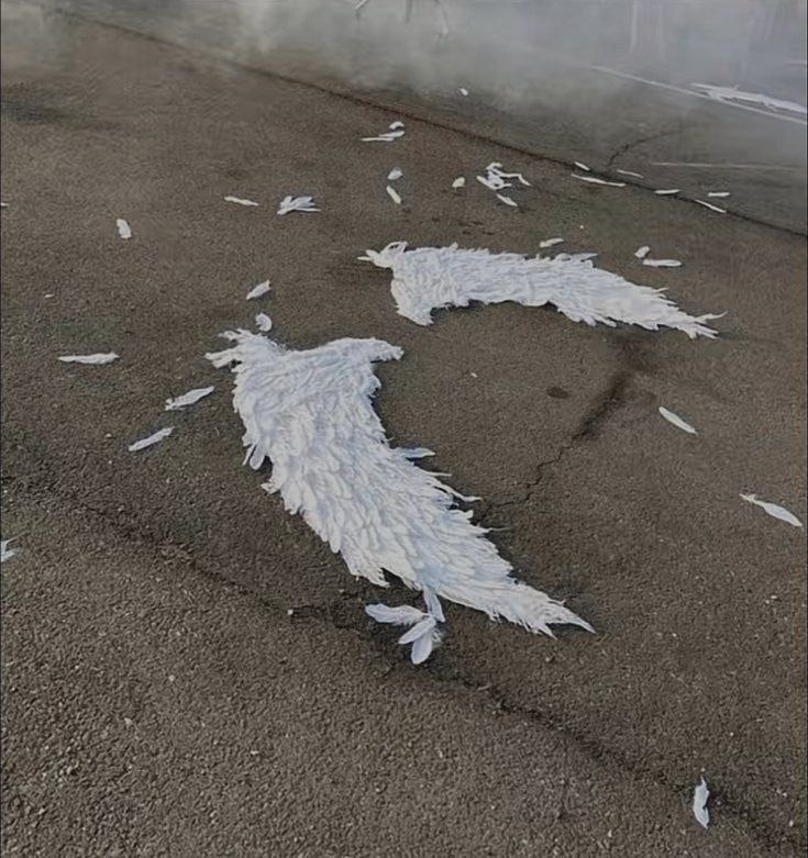 38fab89c-e836-479a-bf3b-0534f67e70b3