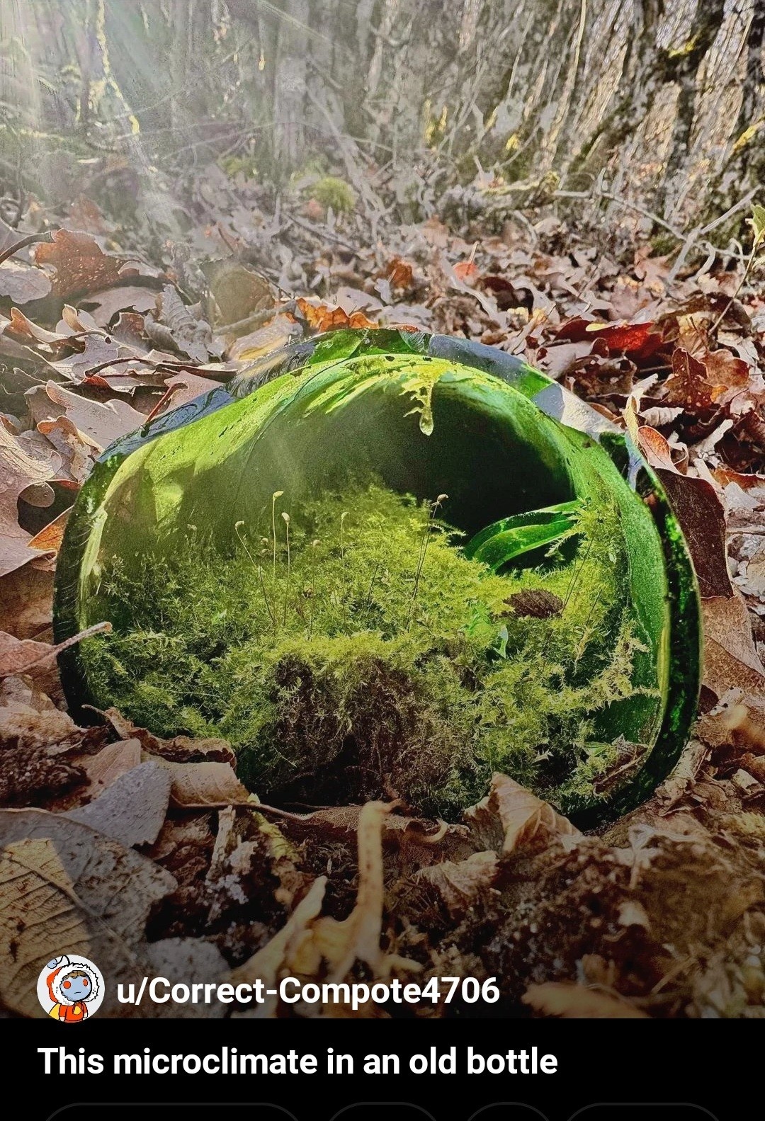 a08ab7ce-bee0-4513-8cc8-db2e1f9b8e49