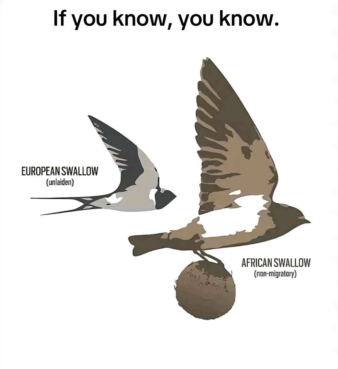 65734c79-b738-4213-9274-69ed7d14021d