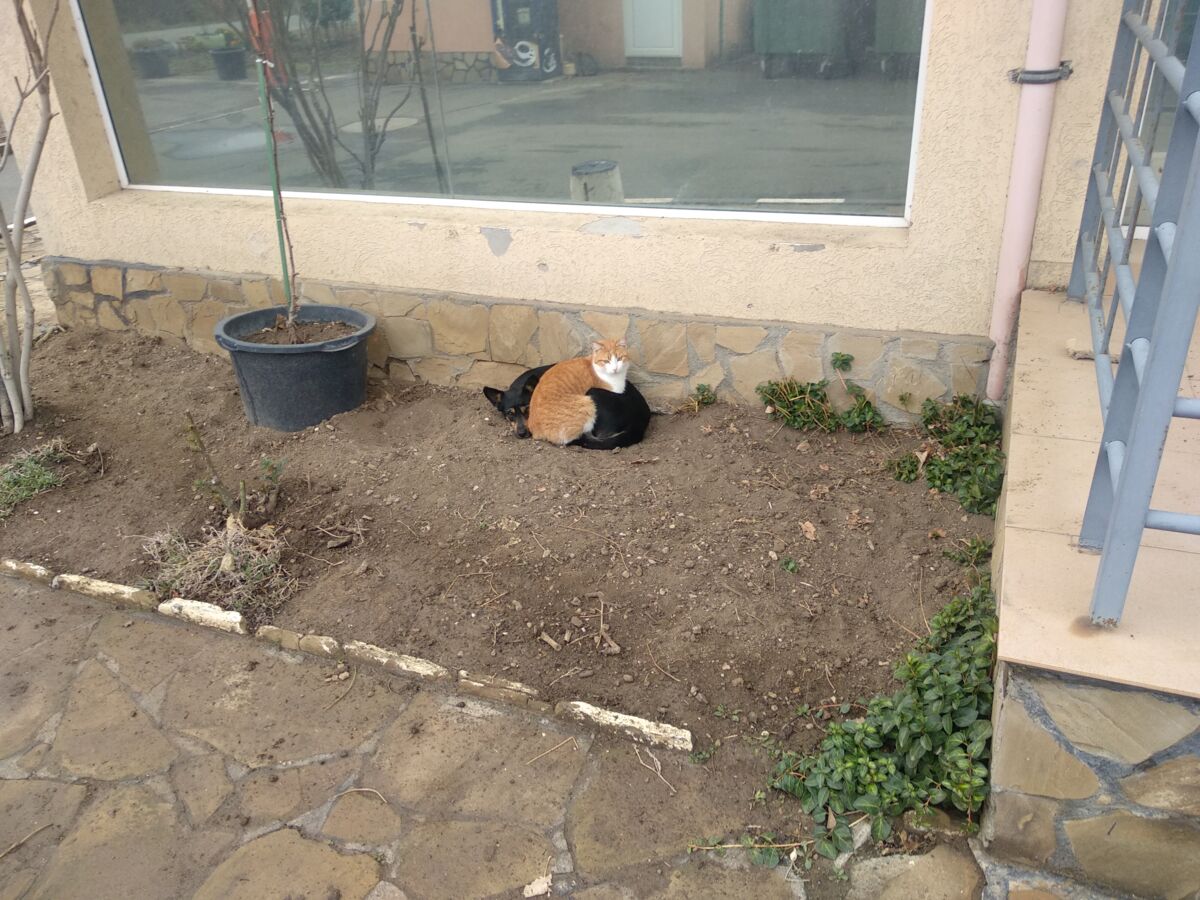 e9ccfe59-2dfe-4fc2-ad30-97b52eb2a4a9