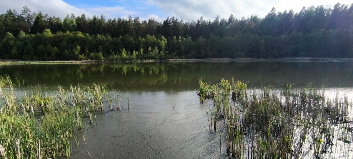 5365126f-0c04-4bbf-a165-5360ceae2120