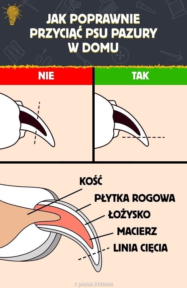 5f813659-4f9a-47ea-8ddf-90ad0b40bda9