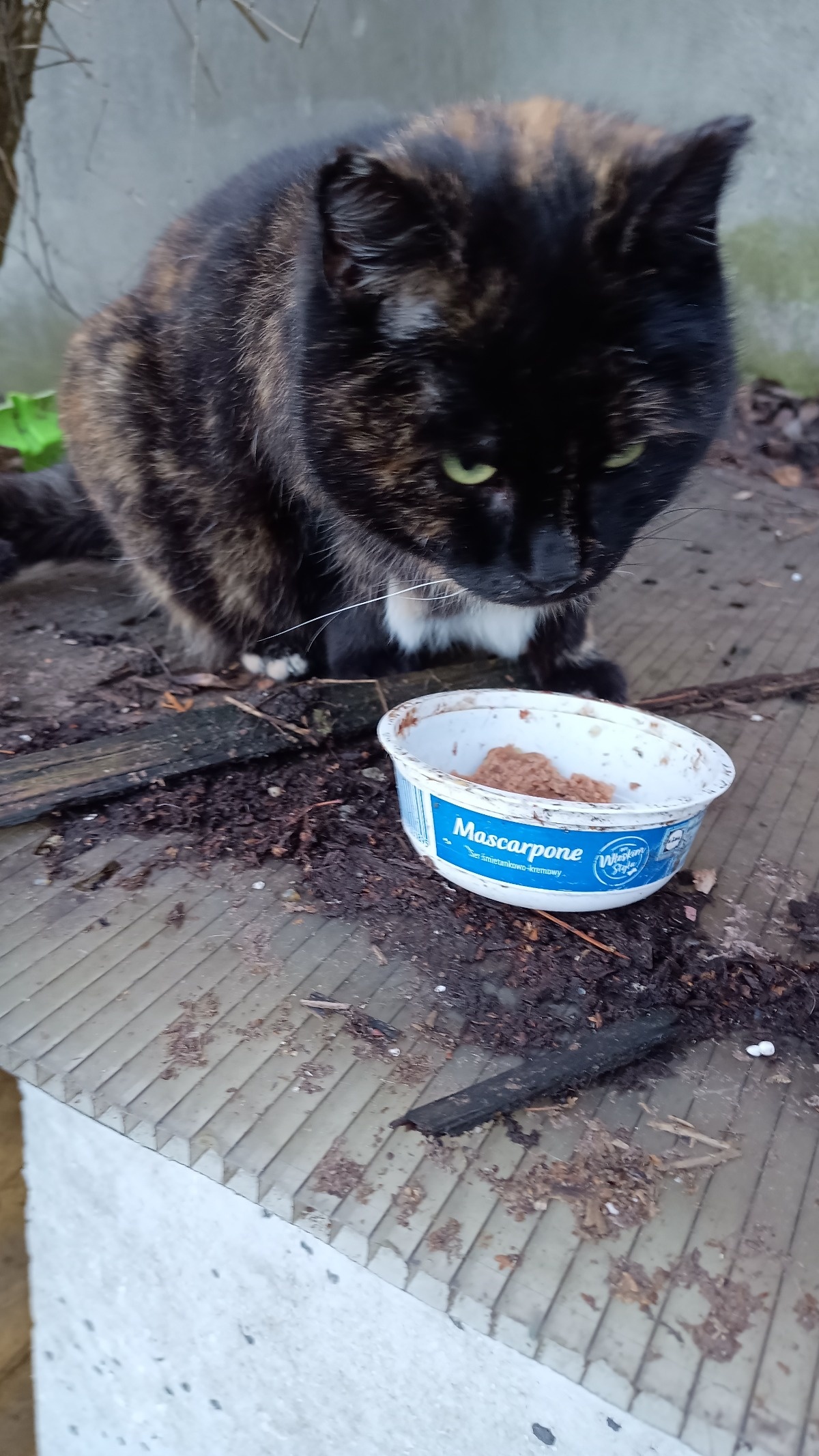 0b92e800-d461-4b8b-9698-eb606f1e1360