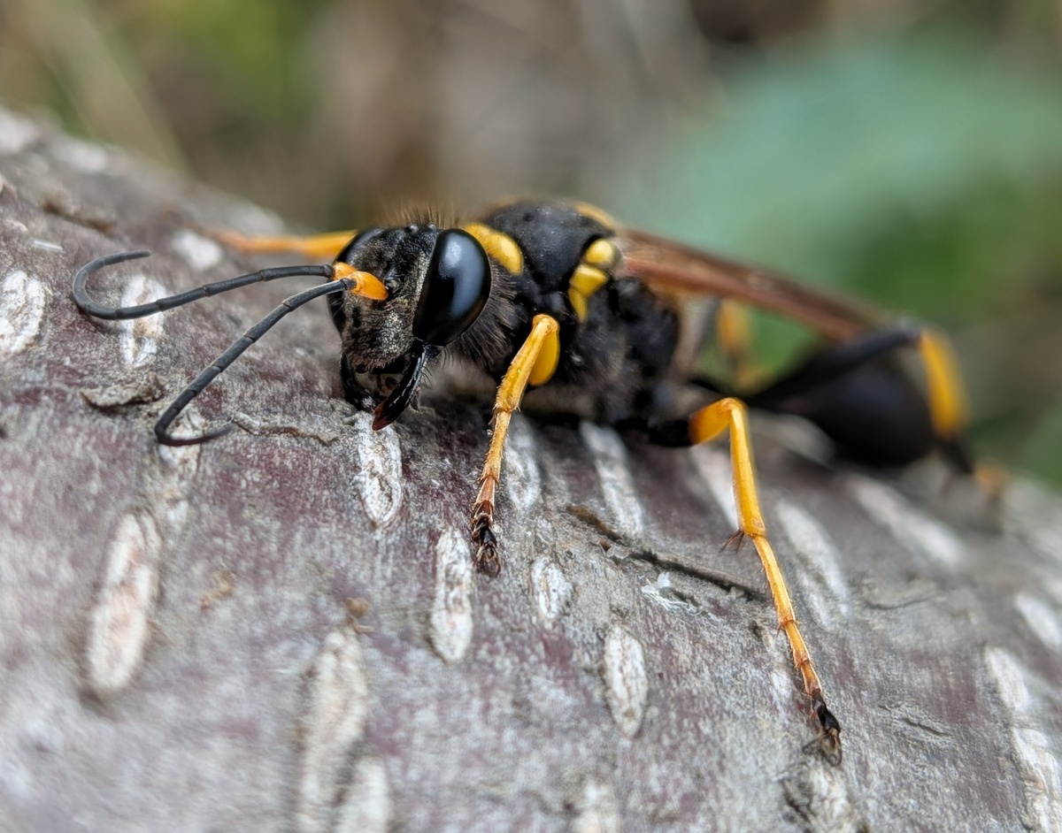 2794f5e9-cd9a-4f4a-870d-ad2c7cb6ba80