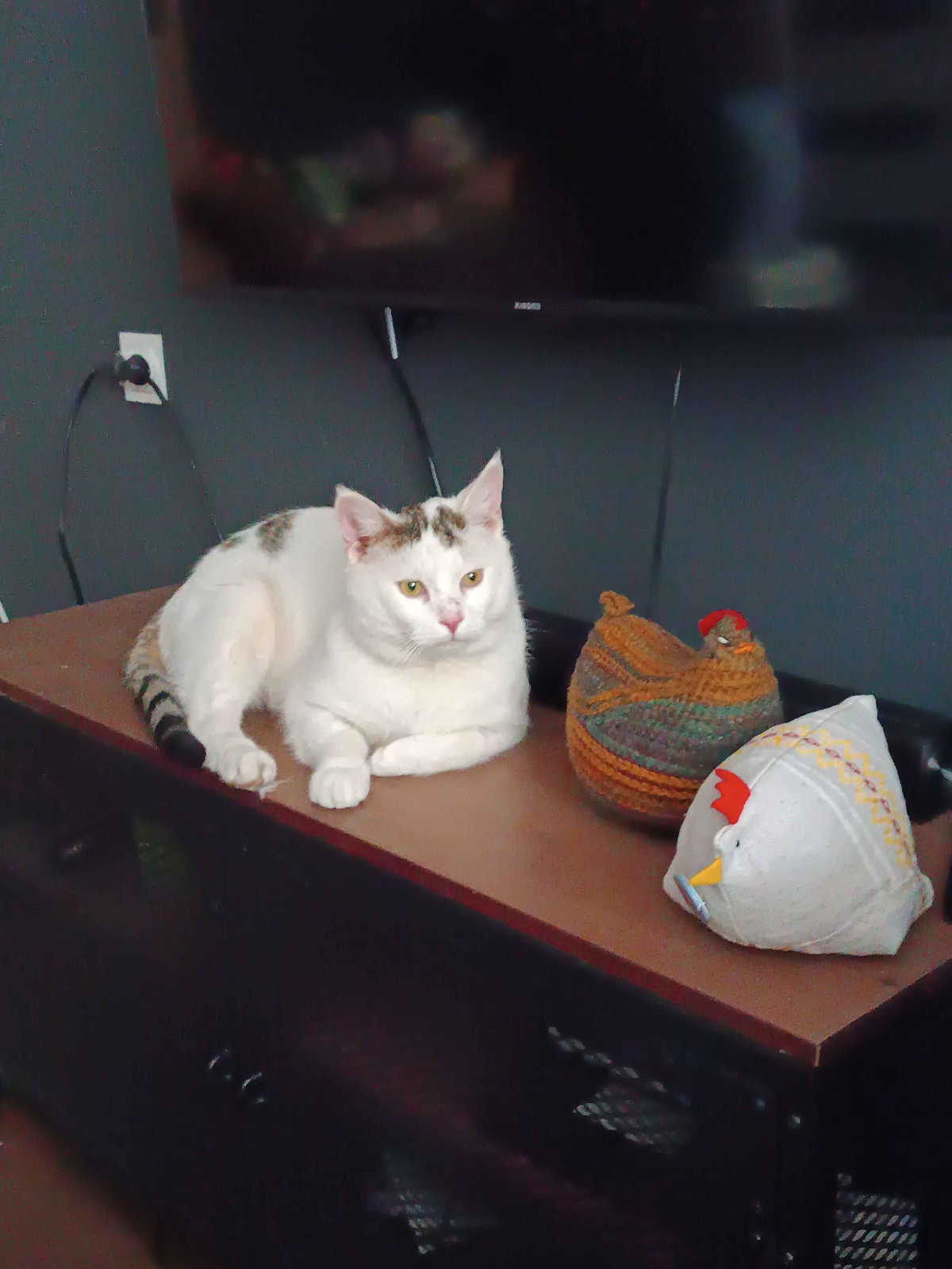 380766d1-061e-4e03-bef8-5d56b0c240f7