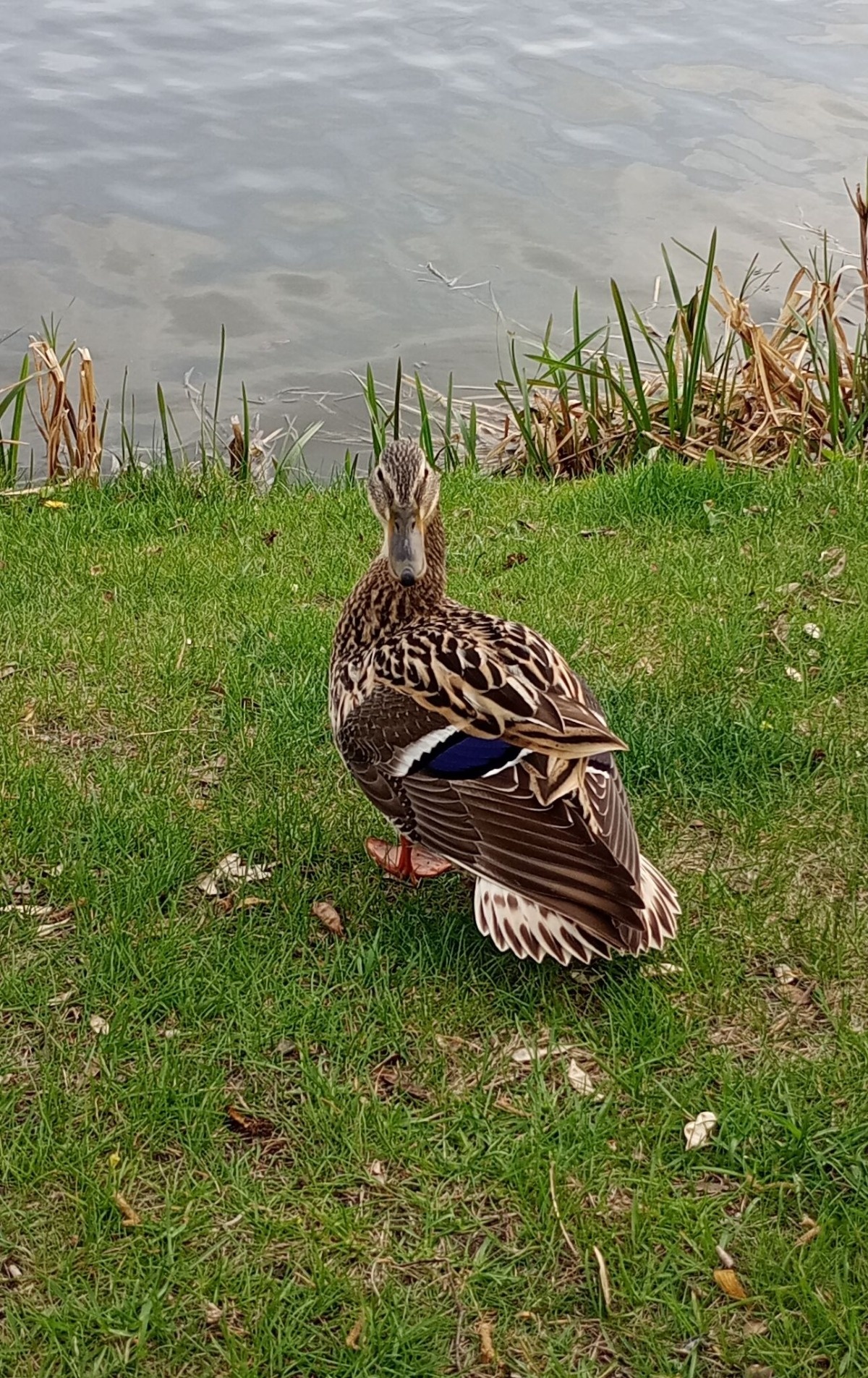 3b125394-5263-44fe-b7d2-44363c9500f7