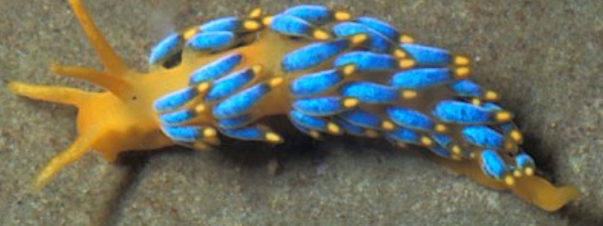 fc5bf424-347b-4d8f-a78b-8a11fabdf04a