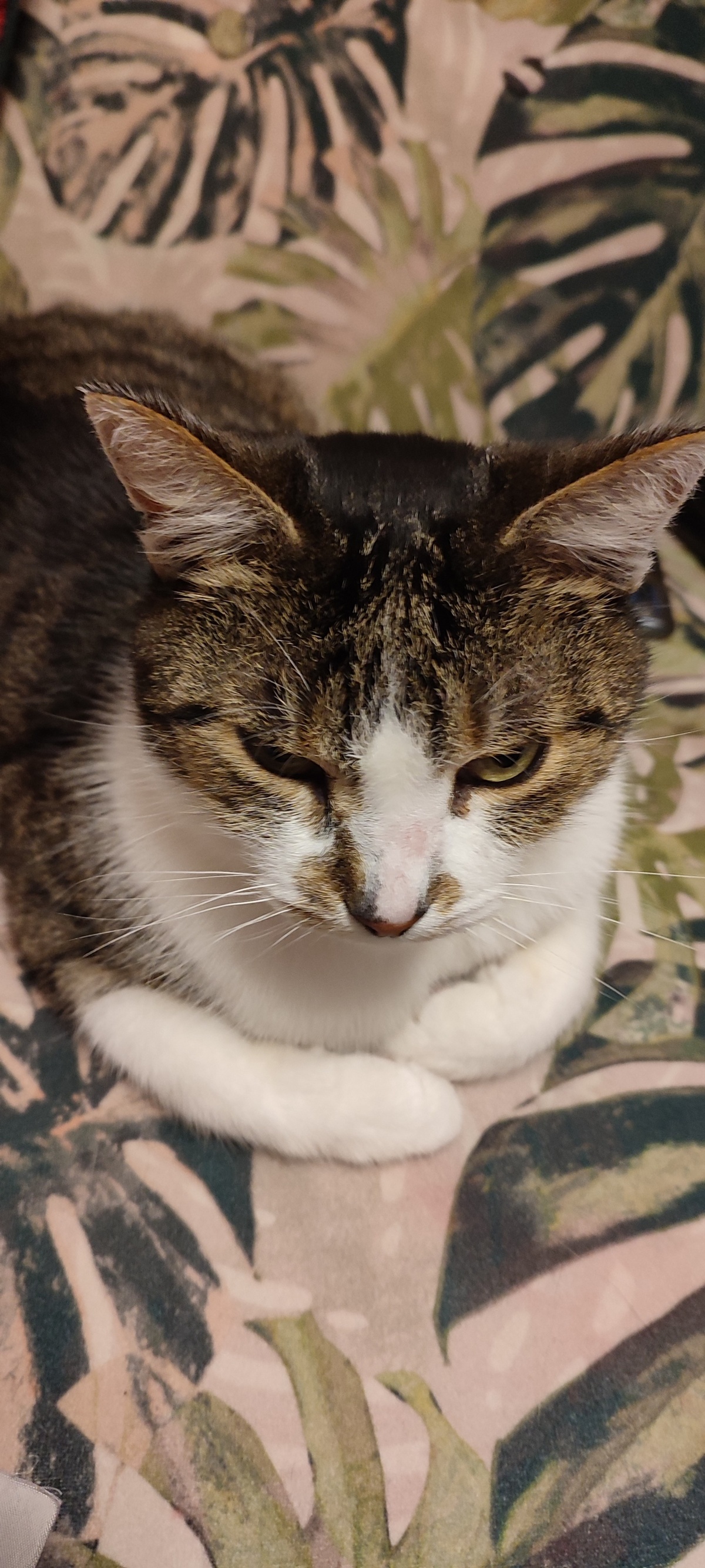 4c40f8a2-7e39-4722-ac8c-1da7c698f3ba