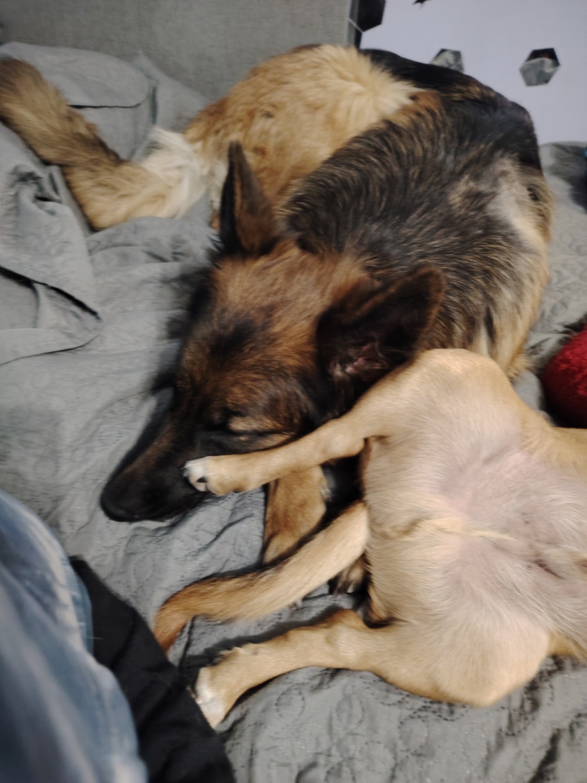 15e7c521-91eb-4130-a932-49db89558f4b