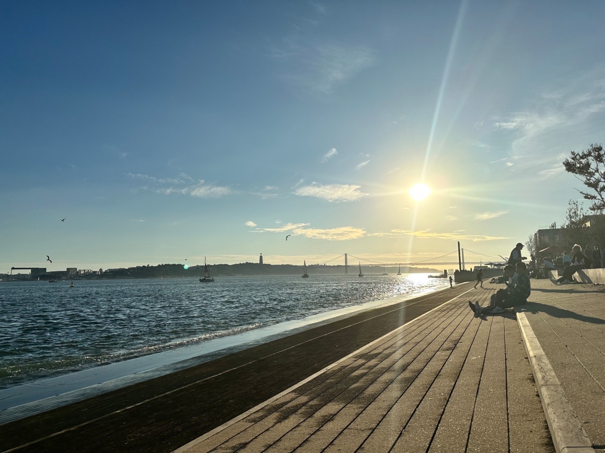 a15020cd-62a0-47bd-8db1-9894187d7c2f