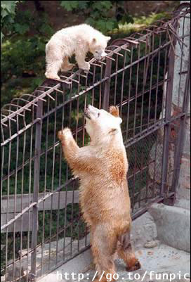 2c6f70b3-9008-481a-aa8e-a5bd200ff903