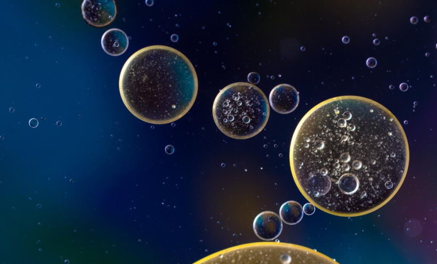 „Komórkowy klej” pomoże w regeneracji tkanek, leczeniu ran i odbudowie nerwów