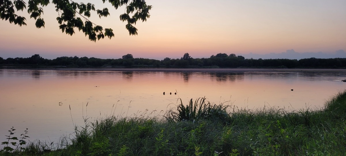 4db73d37-d4a0-44a7-8df9-814d208df1b4