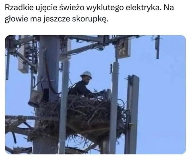 db410af9-74bf-45c5-820d-59394e19a0c9