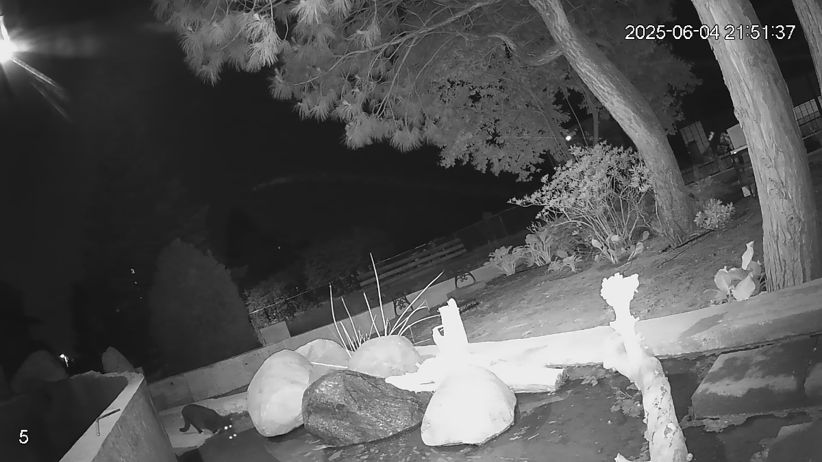 c329f65c-8c4b-4529-a0bf-fca10356d808