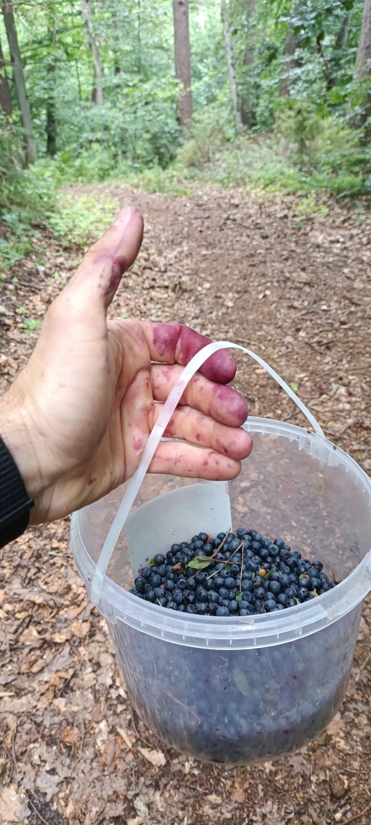 3855e65b-057d-45af-b442-ceeb1fbe339f