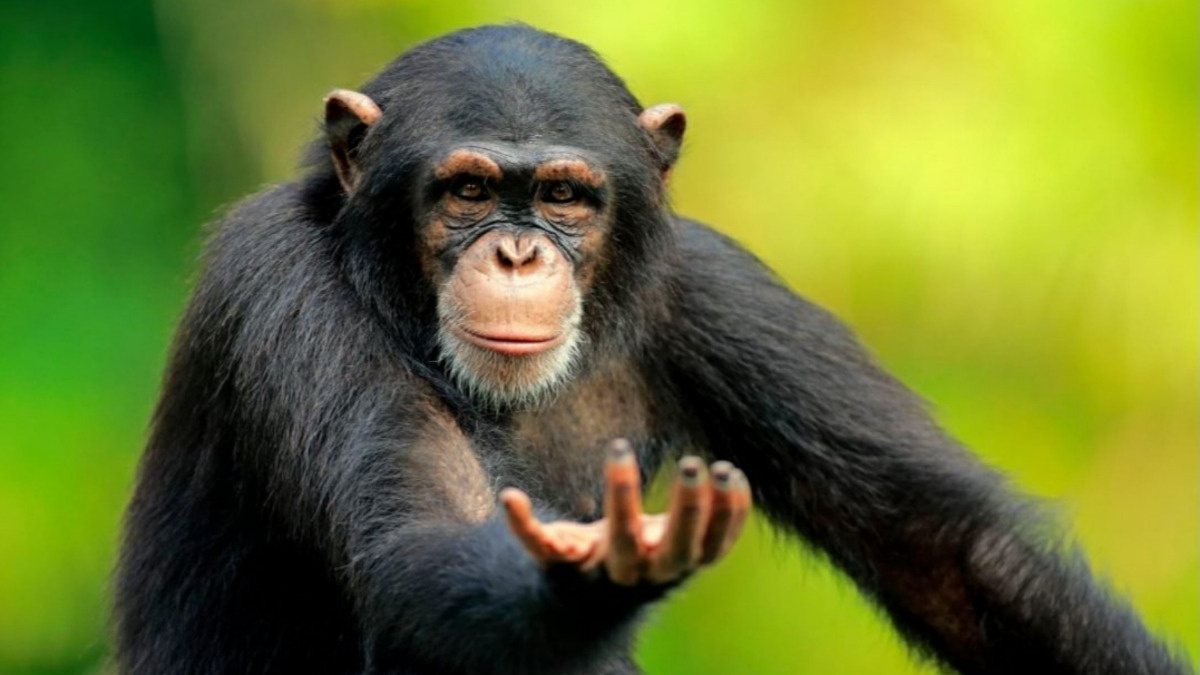 bebeccca-19a1-42a2-a1eb-0c0f04623c47