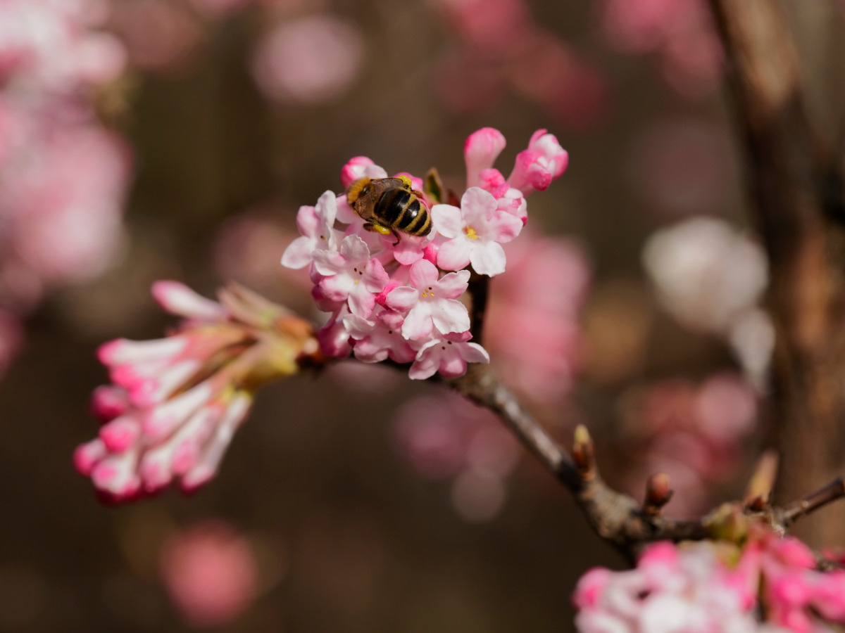 c09f32ec-279c-4bc6-a42a-17f895299851