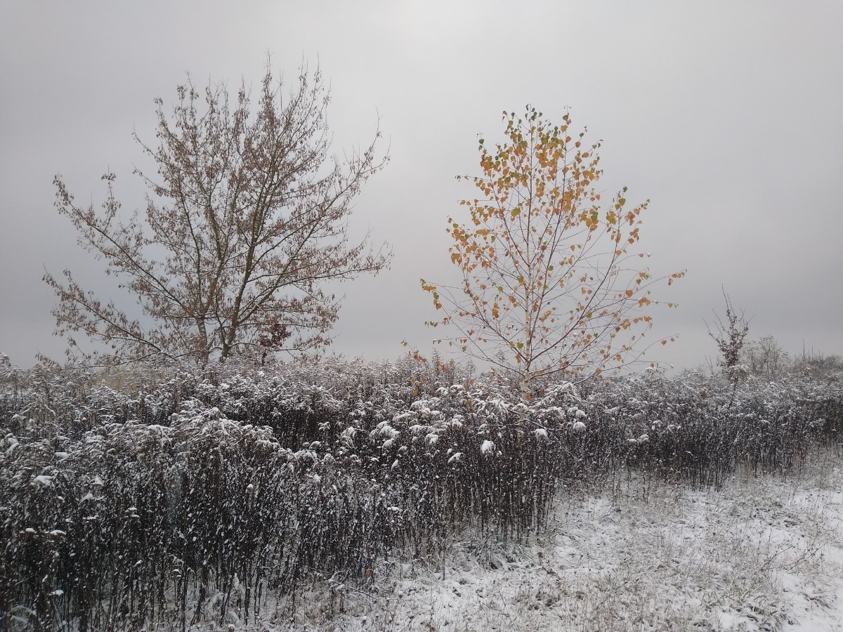 b2c66787-75d1-4ab3-a246-78d36891ff6e