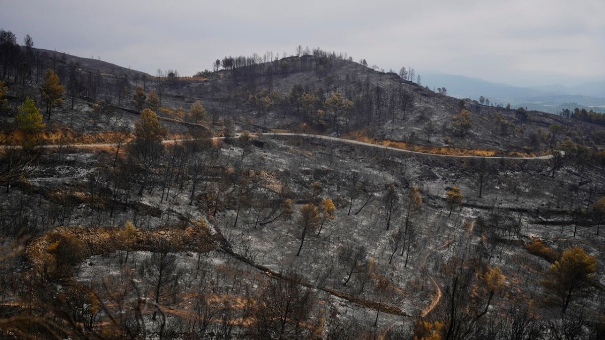 Pożary szaleją w południowej Europie przy rekordowych temperaturach