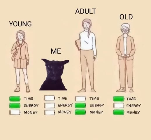 e538d46c-47ef-4e5f-95a2-98f7136a6fdb