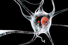 Innowacyjny lek na chorobę Parkinsona