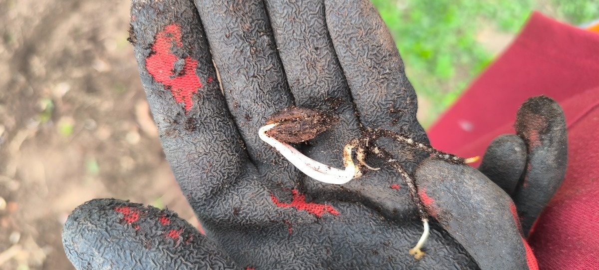 ef832b6f-d58d-435c-852d-fcbb33972f7a