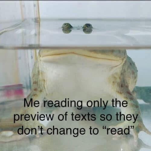 29985985-0e71-48ce-b64c-b350b763ef45