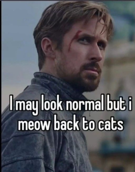 7809fe46-76aa-4063-821a-ab5bda430edb