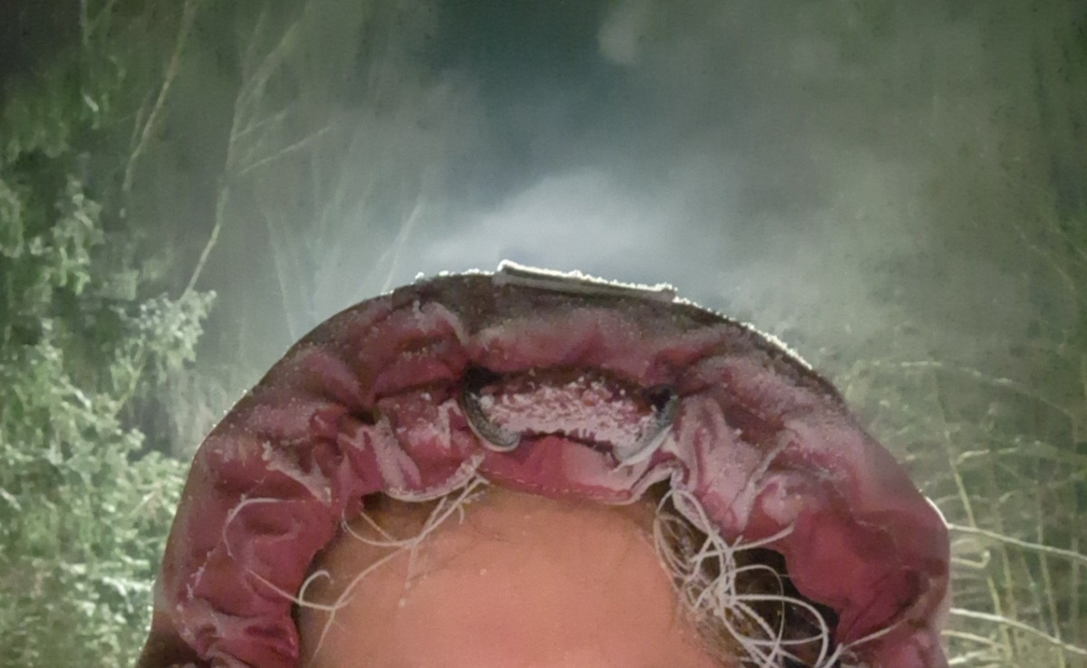 99bcc759-4fdb-4561-bcdc-58a5d9f6f2f9