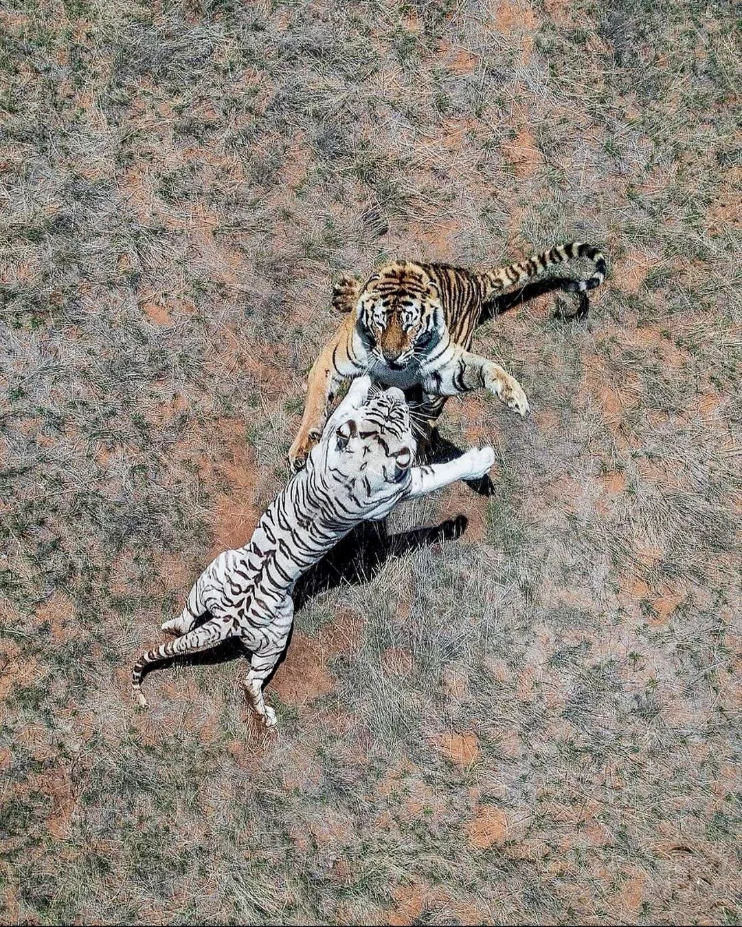 feb44ae3-17db-4a9f-9916-24e5df880f82