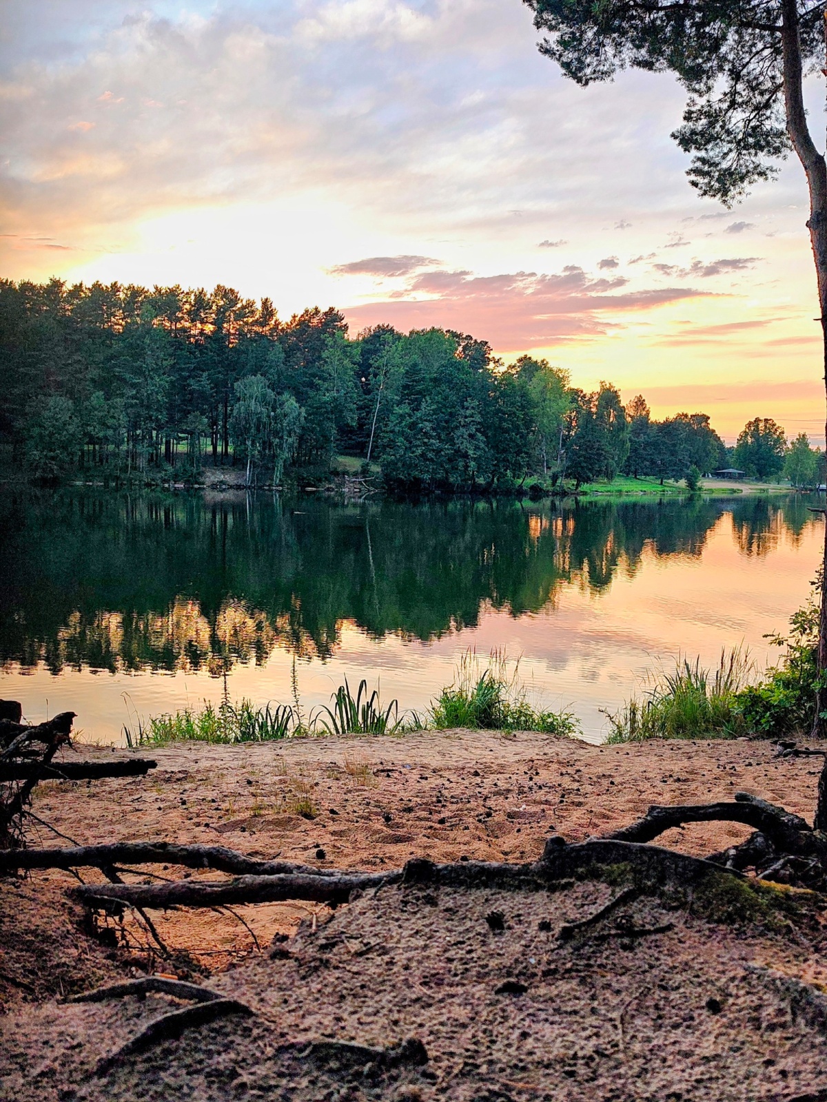 9604676f-e31e-4055-b5d0-5f63cf47efbc