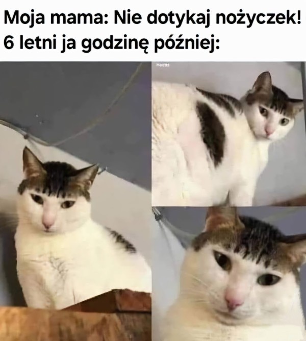 da4391a9-cc16-48fd-8c98-98f244d009da