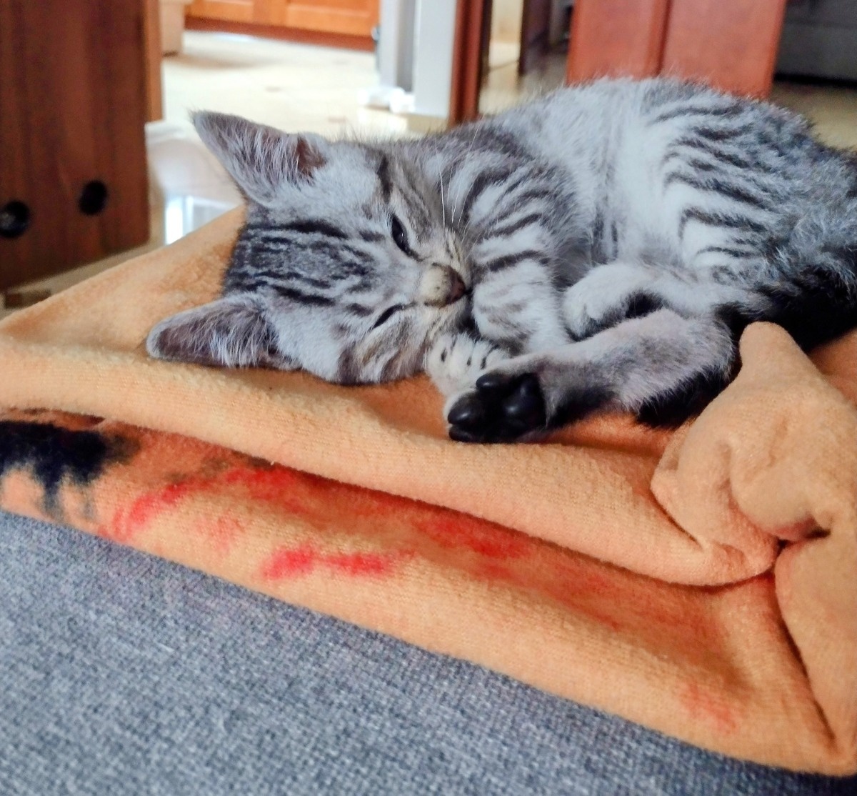 0f45c71b-e93e-4ccf-bc50-30de222efebe