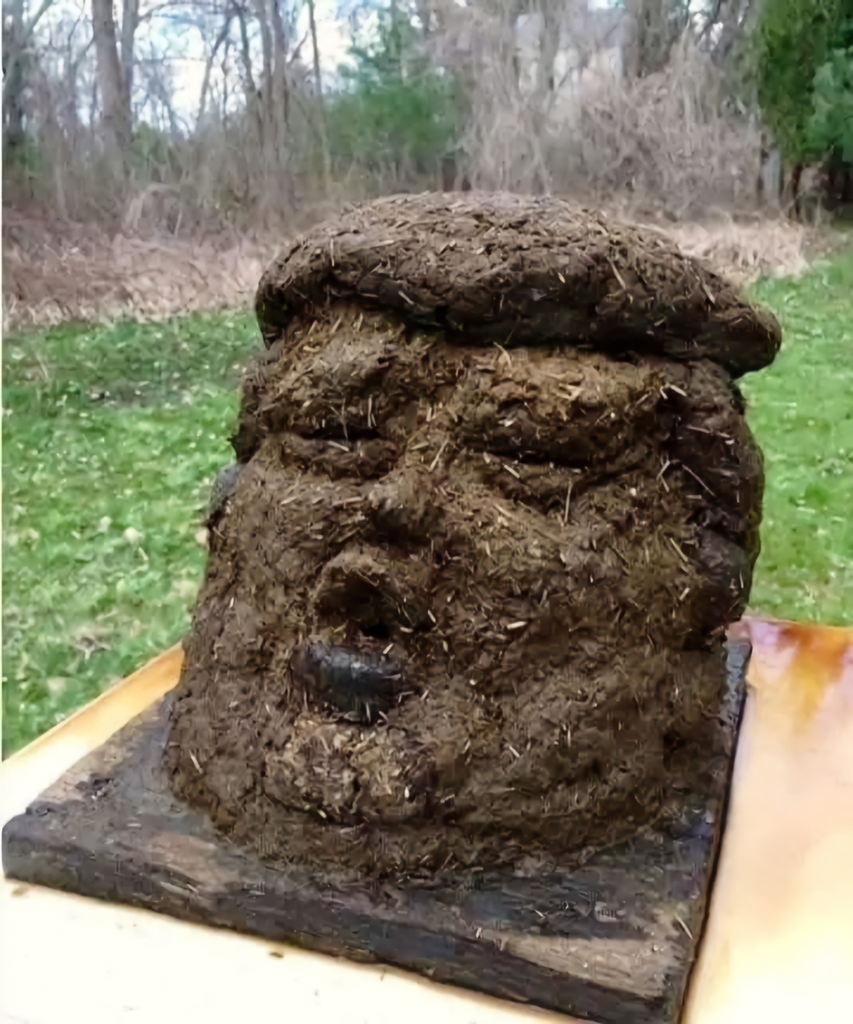 40cc9be0-85d7-4afe-9c98-8111d96c0eae