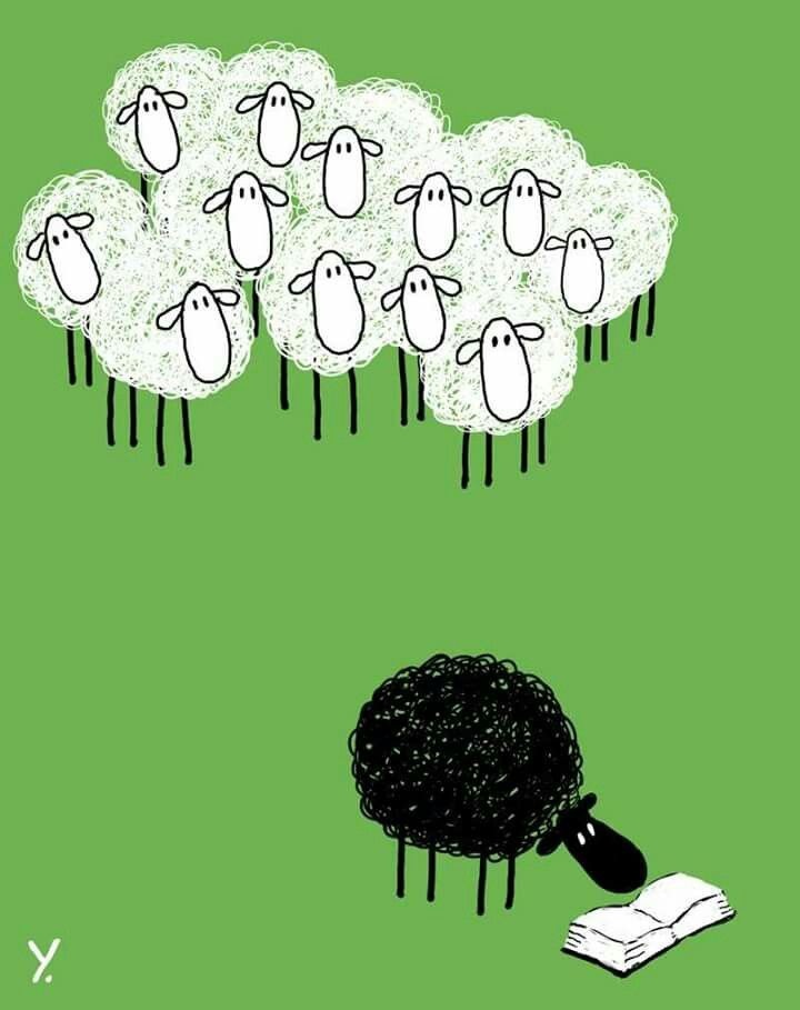 09aedd4e-3c29-40b1-95fc-d4cff95d5e79