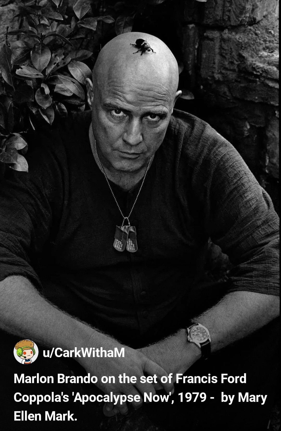 1f130e2d-ec21-439b-96ee-e7d93b1b3118