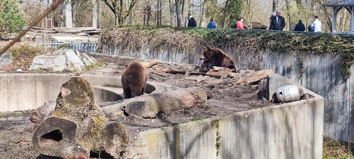 47c26dc8-6d89-4253-8a30-c3c39c839556