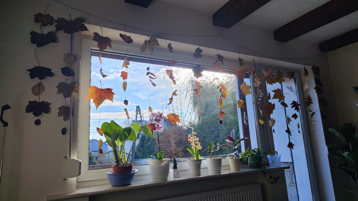 e7e6cc1f-ee7f-499c-b20e-af4dd9bcebac