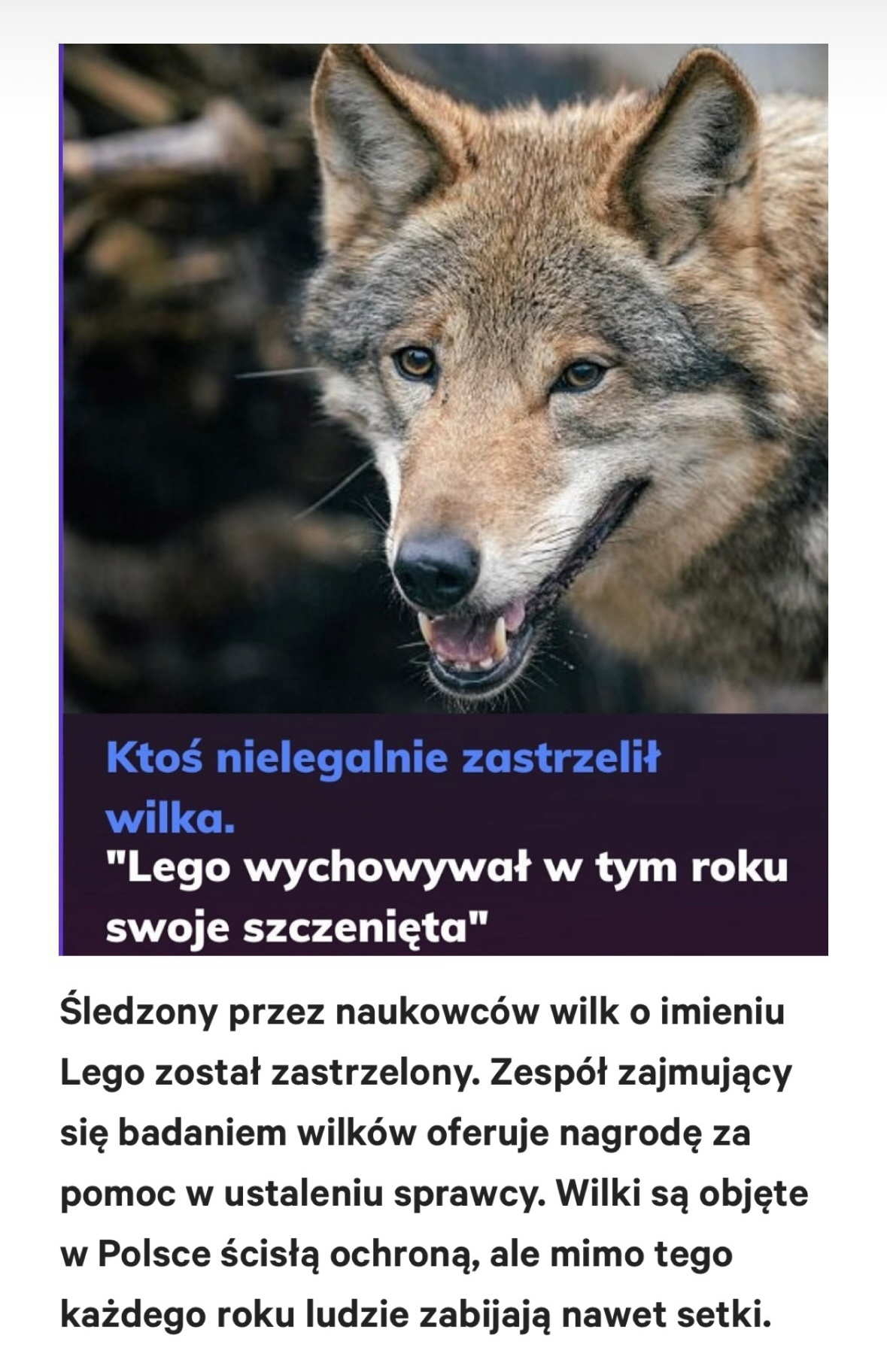 5a5bfa63-2707-4f5d-9bec-4429327f3ee6