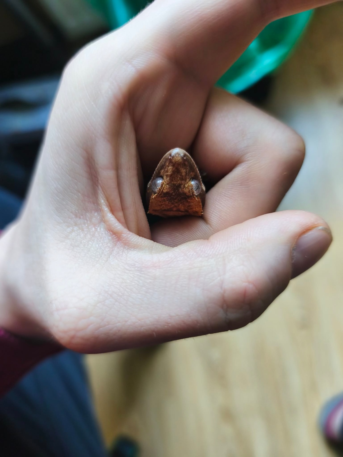 2d254945-0e8e-4ce3-a974-6ffed3f67869