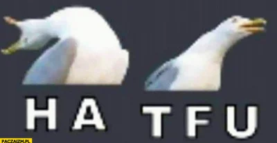 d213e964-072f-4e1b-8824-fce4be24ff4a