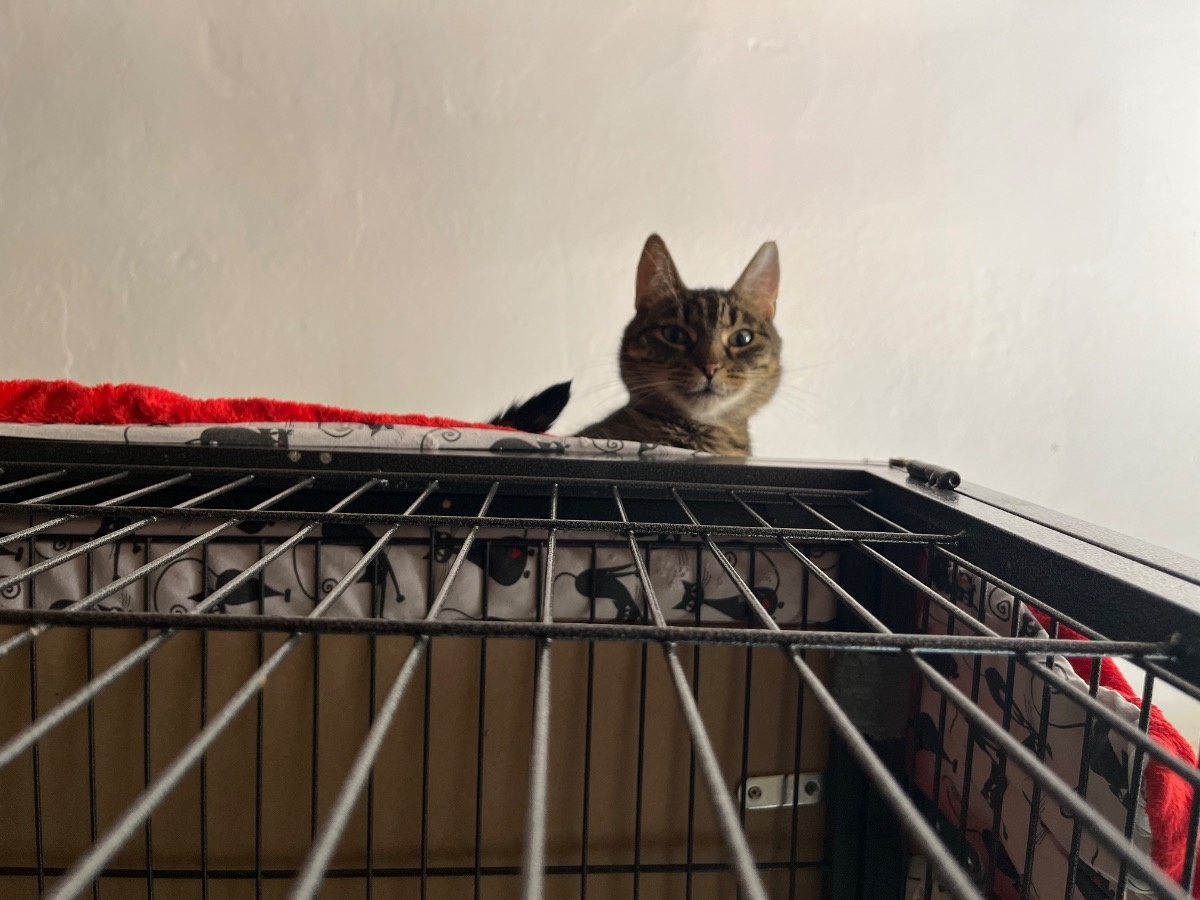 46f743e8-1efb-4aeb-926d-91340c6e7928