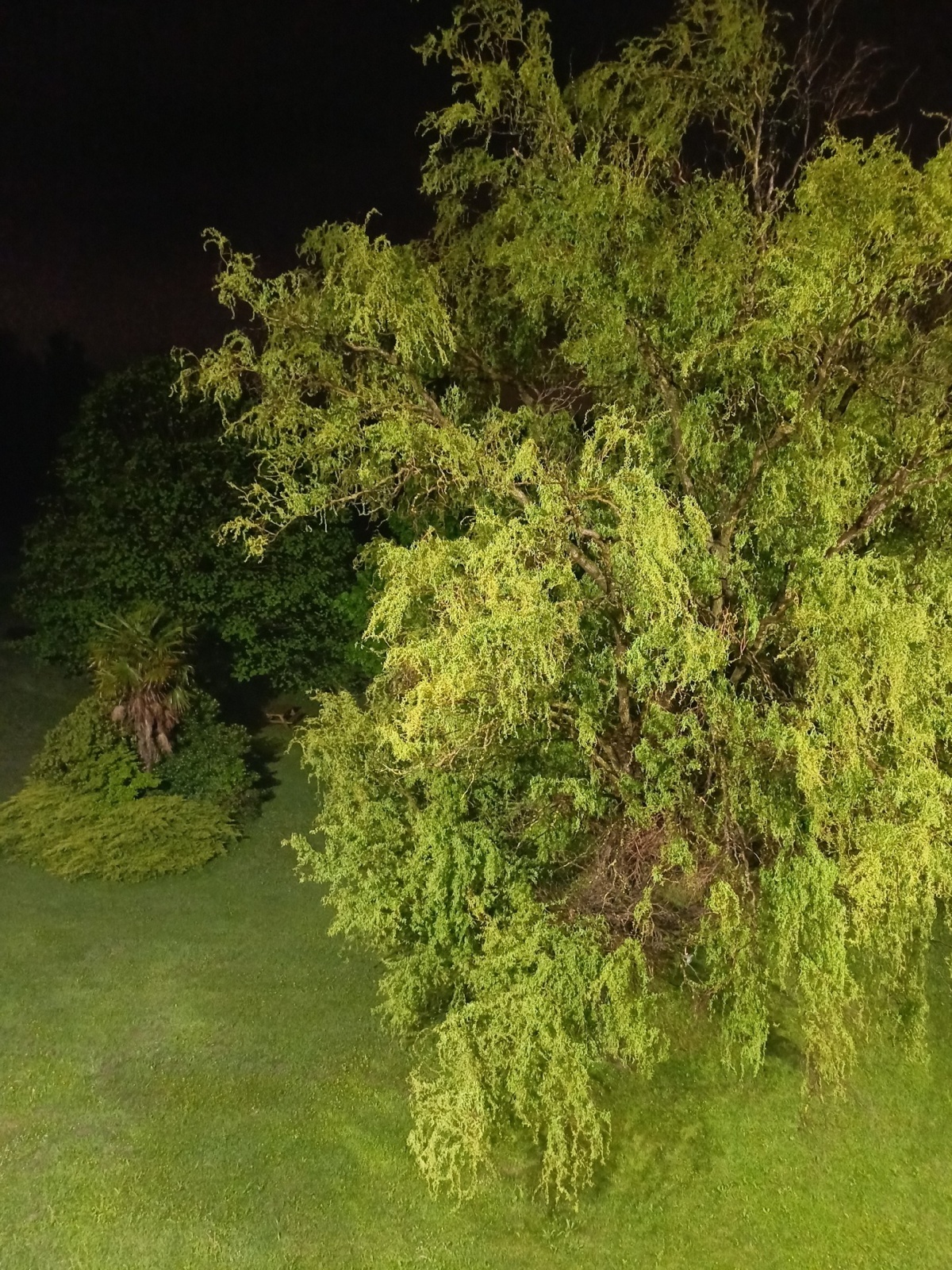 1fe82a05-0612-49dc-9bdb-88347f6d254b