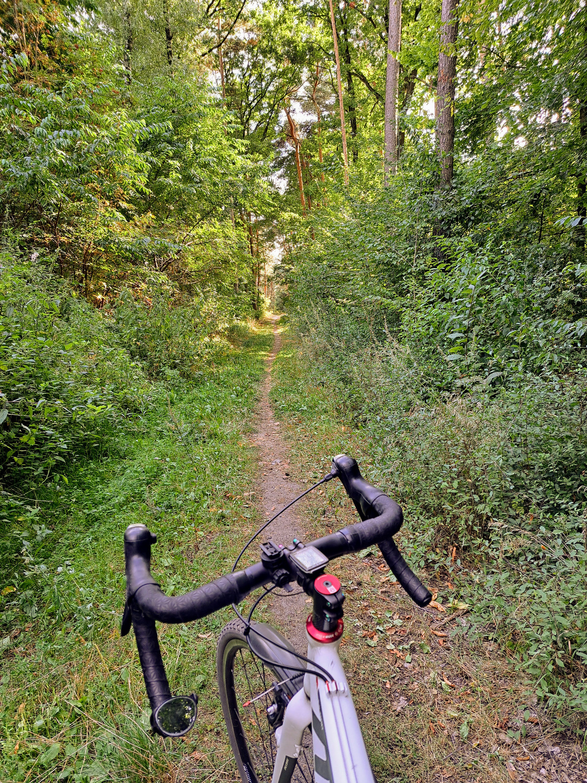 a8d55e75-5b5b-4e96-a084-016a49b03c04