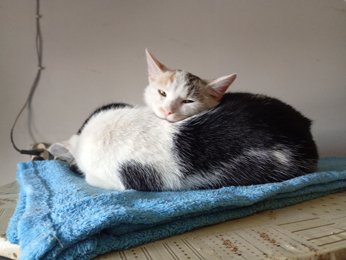 25bc13fe-b12f-42a5-8a98-5437b7648c97